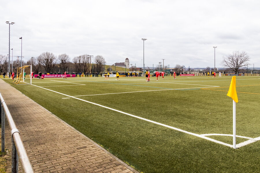 SG Dynamo Dresden U19 – Hallescher FC U19 – Bild 2